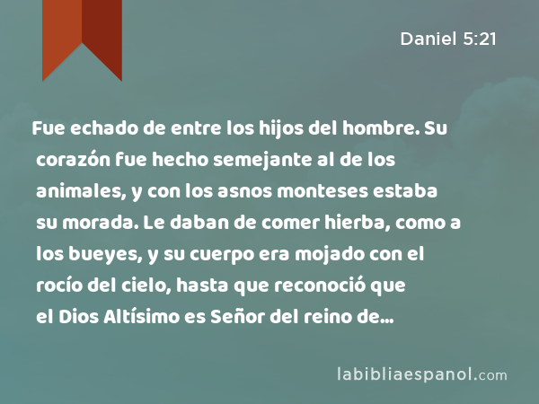 Fue echado de entre los hijos del hombre. Su corazón fue hecho semejante al de los animales, y con los asnos monteses estaba su morada. Le daban de comer hierba, como a los bueyes, y su cuerpo era mojado con el rocío del cielo, hasta que reconoció que el Dios Altísimo es Señor del reino de los hombres y que levanta sobre él a quien quiere. - Daniel 5:21