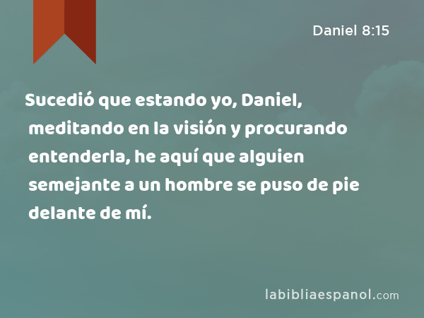 Sucedió que estando yo, Daniel, meditando en la visión y procurando entenderla, he aquí que alguien semejante a un hombre se puso de pie delante de mí. - Daniel 8:15