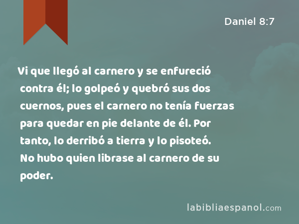 Vi que llegó al carnero y se enfureció contra él; lo golpeó y quebró sus dos cuernos, pues el carnero no tenía fuerzas para quedar en pie delante de él. Por tanto, lo derribó a tierra y lo pisoteó. No hubo quien librase al carnero de su poder. - Daniel 8:7