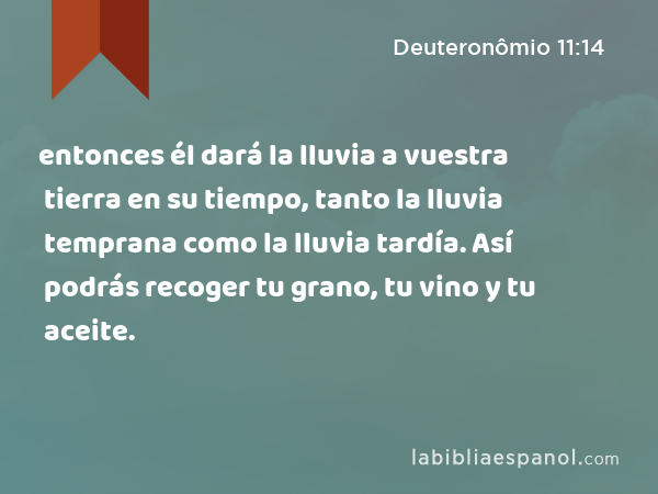 entonces él dará la lluvia a vuestra tierra en su tiempo, tanto la lluvia temprana como la lluvia tardía. Así podrás recoger tu grano, tu vino y tu aceite. - Deuteronômio 11:14