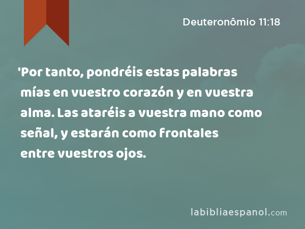 'Por tanto, pondréis estas palabras mías en vuestro corazón y en vuestra alma. Las ataréis a vuestra mano como señal, y estarán como frontales entre vuestros ojos. - Deuteronômio 11:18