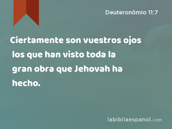 Ciertamente son vuestros ojos los que han visto toda la gran obra que Jehovah ha hecho. - Deuteronômio 11:7