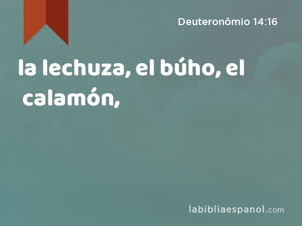 la lechuza, el búho, el calamón, - Deuteronômio 14:16