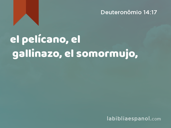 el pelícano, el gallinazo, el somormujo, - Deuteronômio 14:17