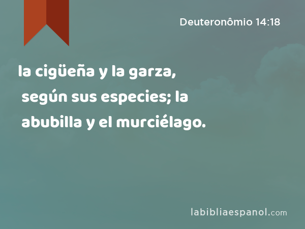 la cigüeña y la garza, según sus especies; la abubilla y el murciélago. - Deuteronômio 14:18