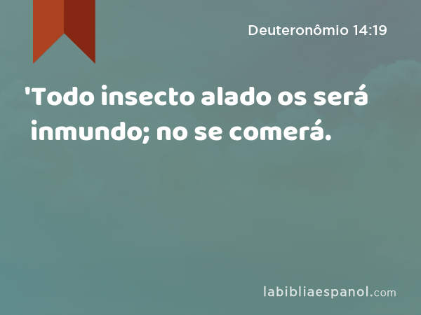 'Todo insecto alado os será inmundo; no se comerá. - Deuteronômio 14:19