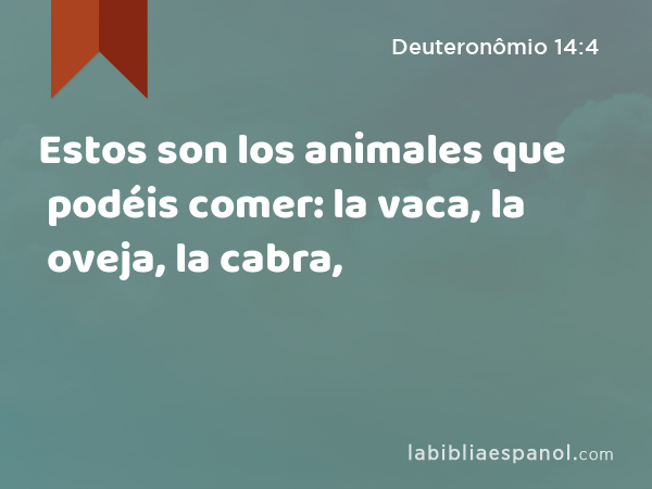 Estos son los animales que podéis comer: la vaca, la oveja, la cabra, - Deuteronômio 14:4