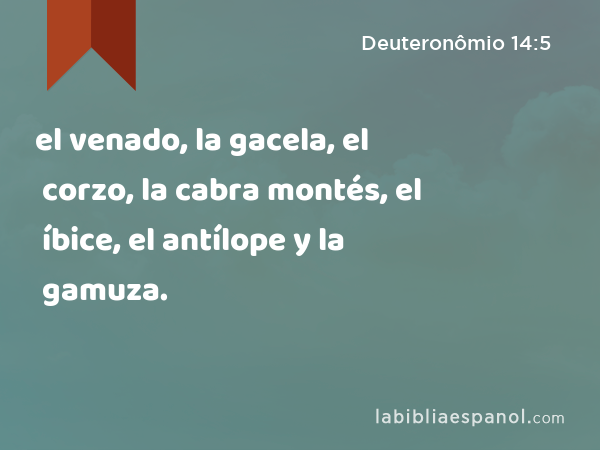 el venado, la gacela, el corzo, la cabra montés, el íbice, el antílope y la gamuza. - Deuteronômio 14:5