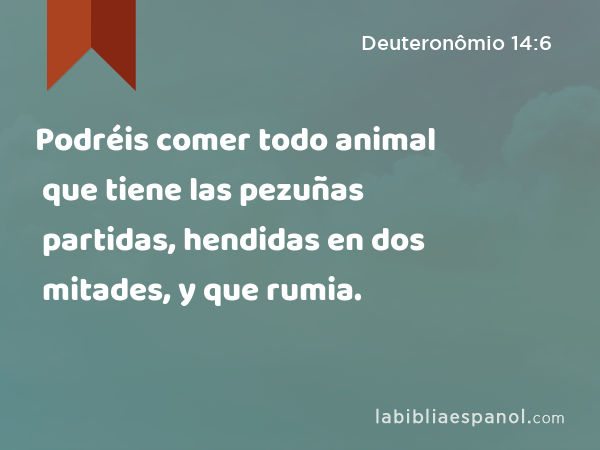 Podréis comer todo animal que tiene las pezuñas partidas, hendidas en dos mitades, y que rumia. - Deuteronômio 14:6