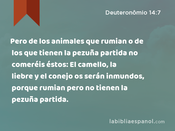 Pero de los animales que rumian o de los que tienen la pezuña partida no comeréis éstos: El camello, la liebre y el conejo os serán inmundos, porque rumian pero no tienen la pezuña partida. - Deuteronômio 14:7