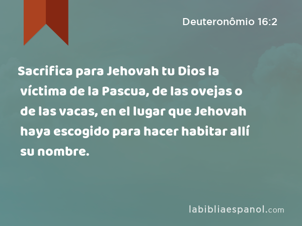 Sacrifica para Jehovah tu Dios la víctima de la Pascua, de las ovejas o de las vacas, en el lugar que Jehovah haya escogido para hacer habitar allí su nombre. - Deuteronômio 16:2