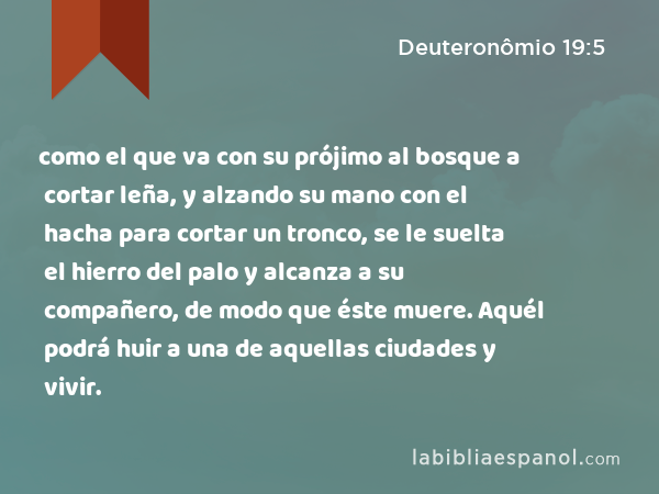 como el que va con su prójimo al bosque a cortar leña, y alzando su mano con el hacha para cortar un tronco, se le suelta el hierro del palo y alcanza a su compañero, de modo que éste muere. Aquél podrá huir a una de aquellas ciudades y vivir. - Deuteronômio 19:5