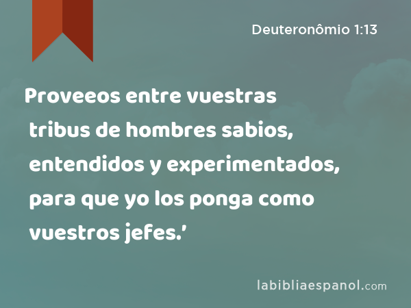 Proveeos entre vuestras tribus de hombres sabios, entendidos y experimentados, para que yo los ponga como vuestros jefes.’ - Deuteronômio 1:13