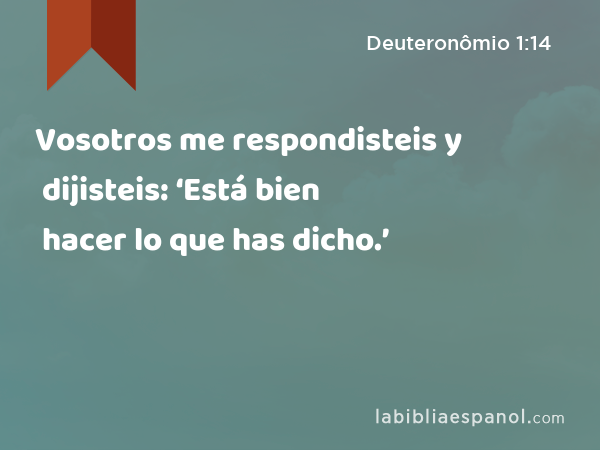 Vosotros me respondisteis y dijisteis: ‘Está bien hacer lo que has dicho.’ - Deuteronômio 1:14