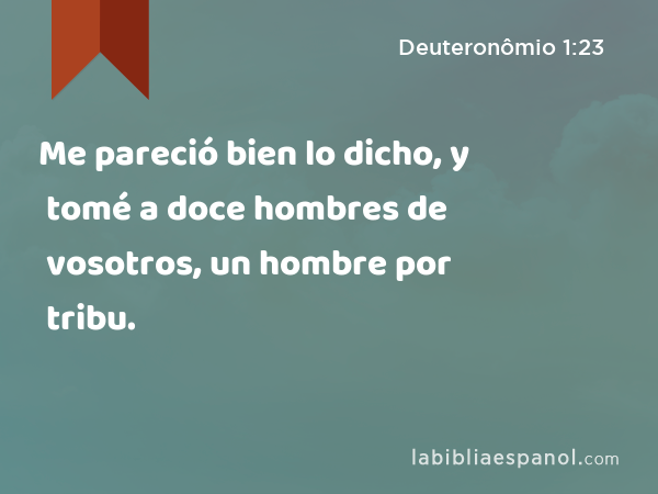 Me pareció bien lo dicho, y tomé a doce hombres de vosotros, un hombre por tribu. - Deuteronômio 1:23