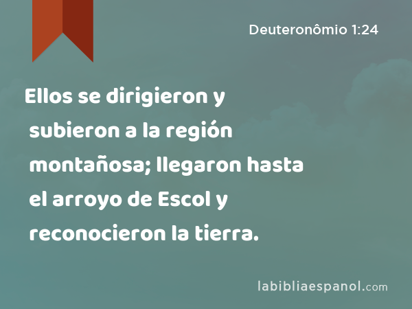 Ellos se dirigieron y subieron a la región montañosa; llegaron hasta el arroyo de Escol y reconocieron la tierra. - Deuteronômio 1:24