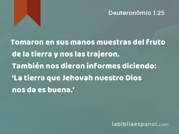 Tomaron en sus manos muestras del fruto de la tierra y nos las trajeron. También nos dieron informes diciendo: ‘La tierra que Jehovah nuestro Dios nos da es buena.’ - Deuteronômio 1:25