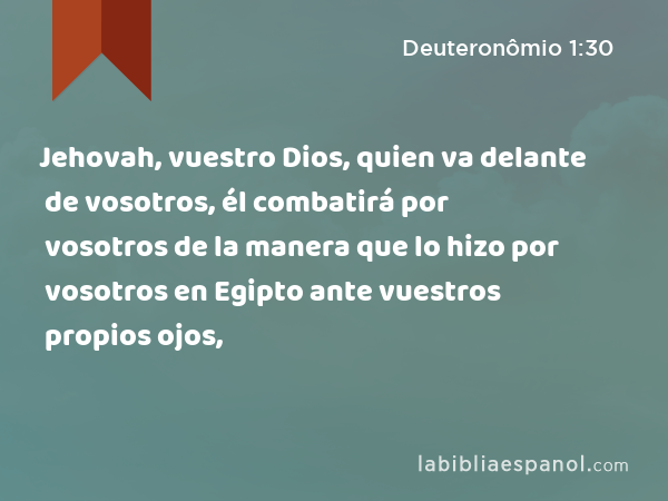 Jehovah, vuestro Dios, quien va delante de vosotros, él combatirá por vosotros de la manera que lo hizo por vosotros en Egipto ante vuestros propios ojos, - Deuteronômio 1:30