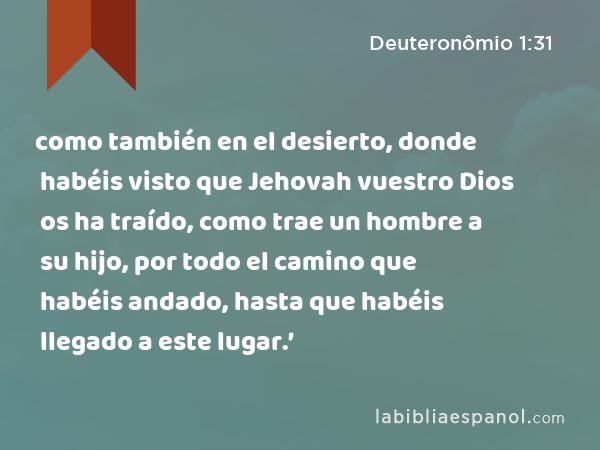 como también en el desierto, donde habéis visto que Jehovah vuestro Dios os ha traído, como trae un hombre a su hijo, por todo el camino que habéis andado, hasta que habéis llegado a este lugar.’ - Deuteronômio 1:31