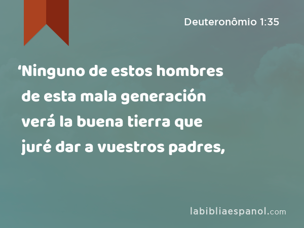 ‘Ninguno de estos hombres de esta mala generación verá la buena tierra que juré dar a vuestros padres, - Deuteronômio 1:35