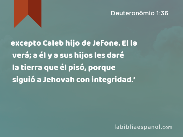 excepto Caleb hijo de Jefone. El la verá; a él y a sus hijos les daré la tierra que él pisó, porque siguió a Jehovah con integridad.’ - Deuteronômio 1:36