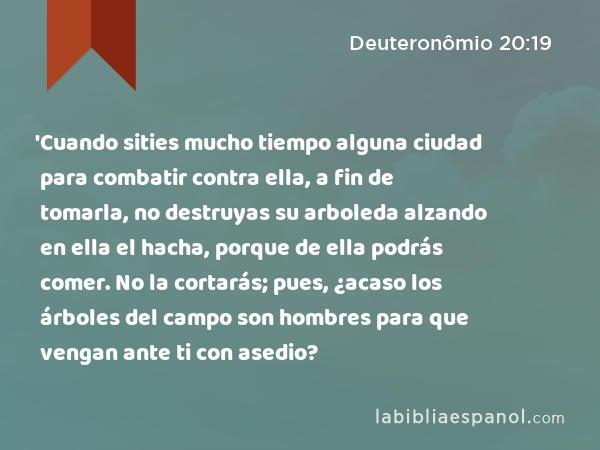 'Cuando sities mucho tiempo alguna ciudad para combatir contra ella, a fin de tomarla, no destruyas su arboleda alzando en ella el hacha, porque de ella podrás comer. No la cortarás; pues, ¿acaso los árboles del campo son hombres para que vengan ante ti con asedio? - Deuteronômio 20:19