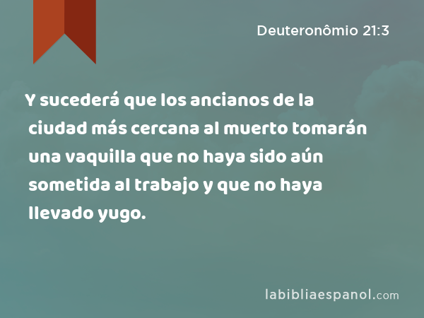 Y sucederá que los ancianos de la ciudad más cercana al muerto tomarán una vaquilla que no haya sido aún sometida al trabajo y que no haya llevado yugo. - Deuteronômio 21:3