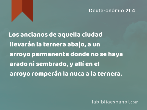 Los ancianos de aquella ciudad llevarán la ternera abajo, a un arroyo permanente donde no se haya arado ni sembrado, y allí en el arroyo romperán la nuca a la ternera. - Deuteronômio 21:4