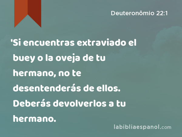 'Si encuentras extraviado el buey o la oveja de tu hermano, no te desentenderás de ellos. Deberás devolverlos a tu hermano. - Deuteronômio 22:1