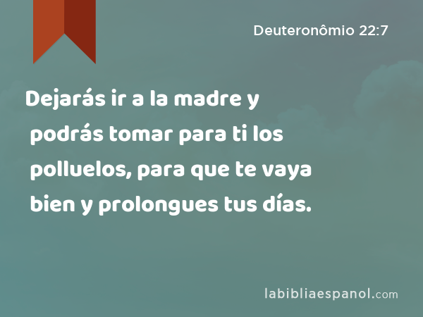 Dejarás ir a la madre y podrás tomar para ti los polluelos, para que te vaya bien y prolongues tus días. - Deuteronômio 22:7