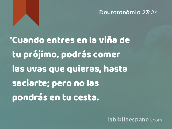 'Cuando entres en la viña de tu prójimo, podrás comer las uvas que quieras, hasta saciarte; pero no las pondrás en tu cesta. - Deuteronômio 23:24