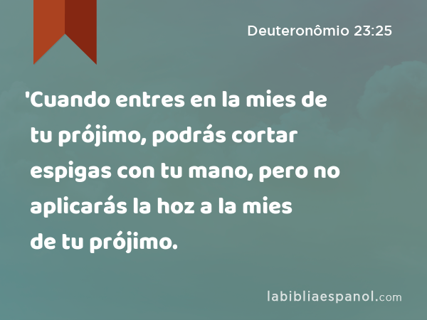 'Cuando entres en la mies de tu prójimo, podrás cortar espigas con tu mano, pero no aplicarás la hoz a la mies de tu prójimo. - Deuteronômio 23:25