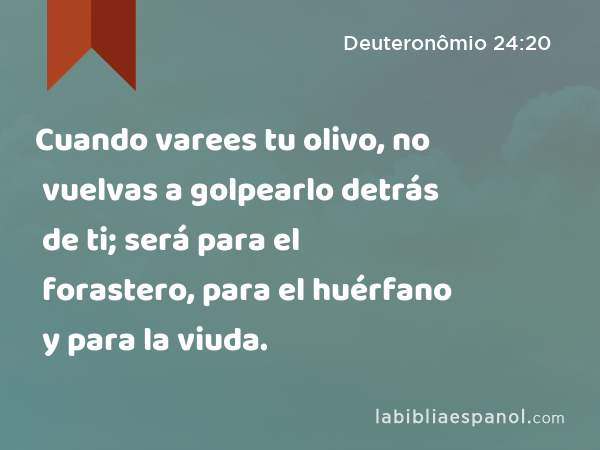 Cuando varees tu olivo, no vuelvas a golpearlo detrás de ti; será para el forastero, para el huérfano y para la viuda. - Deuteronômio 24:20