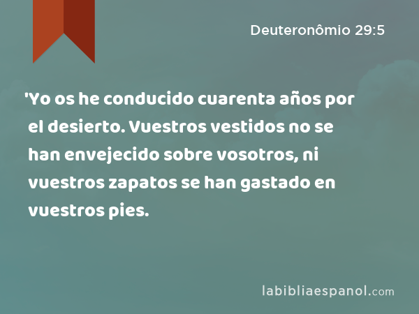 'Yo os he conducido cuarenta años por el desierto. Vuestros vestidos no se han envejecido sobre vosotros, ni vuestros zapatos se han gastado en vuestros pies. - Deuteronômio 29:5