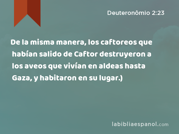 De la misma manera, los caftoreos que habían salido de Caftor destruyeron a los aveos que vivían en aldeas hasta Gaza, y habitaron en su lugar.) - Deuteronômio 2:23