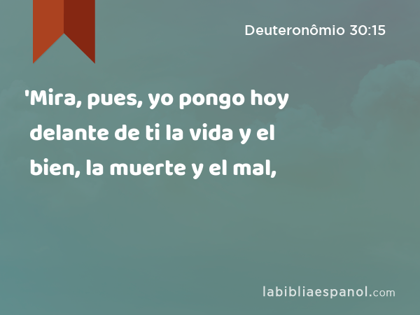 'Mira, pues, yo pongo hoy delante de ti la vida y el bien, la muerte y el mal, - Deuteronômio 30:15