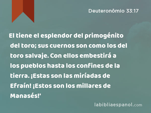 El tiene el esplendor del primogénito del toro; sus cuernos son como los del toro salvaje. Con ellos embestirá a los pueblos hasta los confines de la tierra. ¡Estas son las miríadas de Efraín! ¡Estos son los millares de Manasés!' - Deuteronômio 33:17