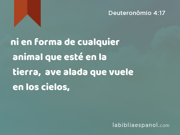 ni en forma de cualquier animal que esté en la tierra, ni en forma de cualquier ave alada que vuele en los cielos, - Deuteronômio 4:17