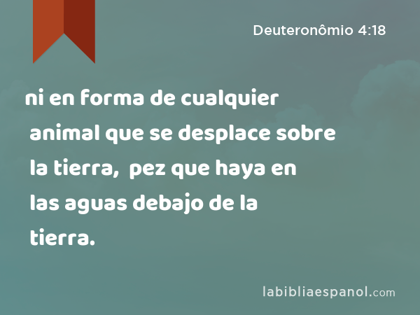 ni en forma de cualquier animal que se desplace sobre la tierra, ni en forma de cualquier pez que haya en las aguas debajo de la tierra. - Deuteronômio 4:18