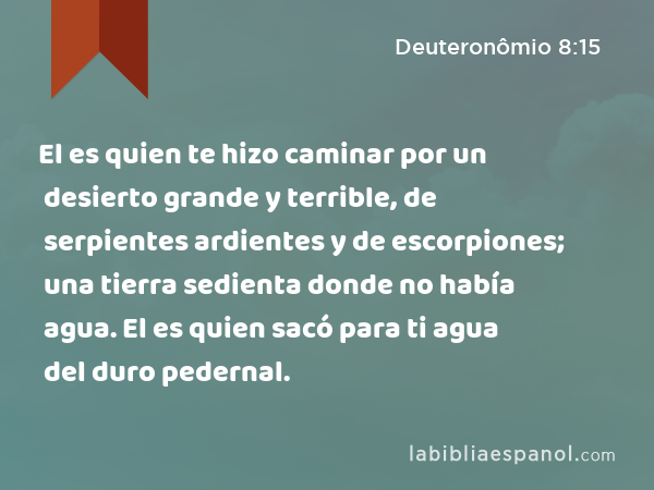 El es quien te hizo caminar por un desierto grande y terrible, de serpientes ardientes y de escorpiones; una tierra sedienta donde no había agua. El es quien sacó para ti agua del duro pedernal. - Deuteronômio 8:15