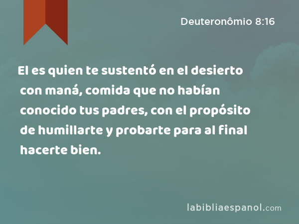 El es quien te sustentó en el desierto con maná, comida que no habían conocido tus padres, con el propósito de humillarte y probarte para al final hacerte bien. - Deuteronômio 8:16