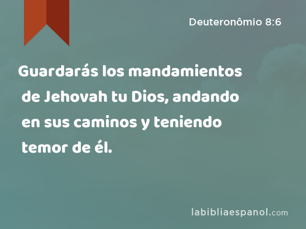 Guardarás los mandamientos de Jehovah tu Dios, andando en sus caminos y teniendo temor de él. - Deuteronômio 8:6