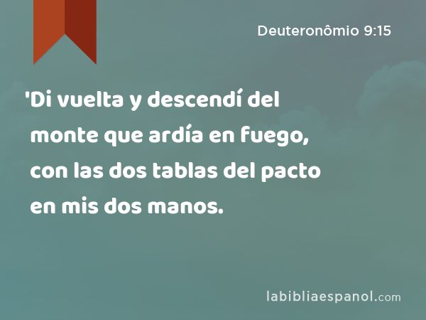 'Di vuelta y descendí del monte que ardía en fuego, con las dos tablas del pacto en mis dos manos. - Deuteronômio 9:15