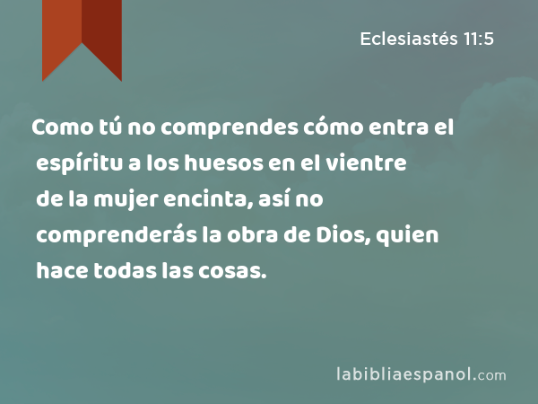 Como tú no comprendes cómo entra el espíritu a los huesos en el vientre de la mujer encinta, así no comprenderás la obra de Dios, quien hace todas las cosas. - Eclesiastés 11:5