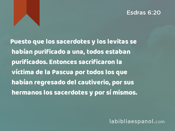 Puesto que los sacerdotes y los levitas se habían purificado a una, todos estaban purificados. Entonces sacrificaron la víctima de la Pascua por todos los que habían regresado del cautiverio, por sus hermanos los sacerdotes y por sí mismos. - Esdras 6:20