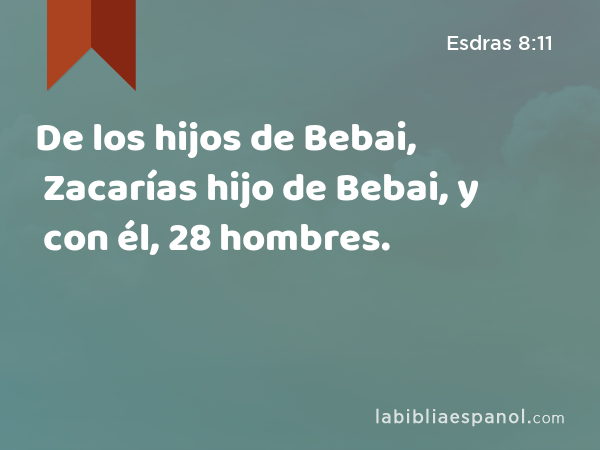 De los hijos de Bebai, Zacarías hijo de Bebai, y con él, 28 hombres. - Esdras 8:11