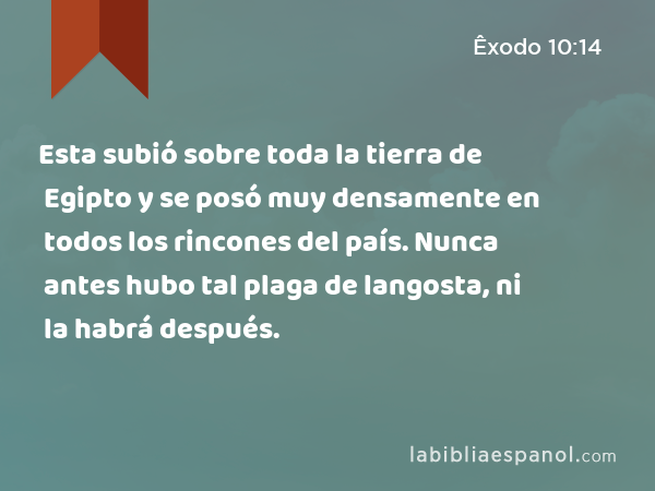 Esta subió sobre toda la tierra de Egipto y se posó muy densamente en todos los rincones del país. Nunca antes hubo tal plaga de langosta, ni la habrá después. - Êxodo 10:14