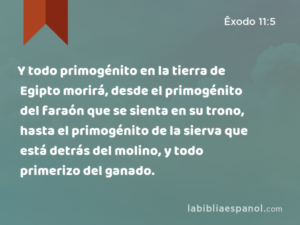 Y todo primogénito en la tierra de Egipto morirá, desde el primogénito del faraón que se sienta en su trono, hasta el primogénito de la sierva que está detrás del molino, y todo primerizo del ganado. - Êxodo 11:5