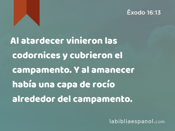 Al atardecer vinieron las codornices y cubrieron el campamento. Y al amanecer había una capa de rocío alrededor del campamento. - Êxodo 16:13