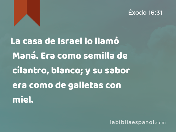 La casa de Israel lo llamó Maná. Era como semilla de cilantro, blanco; y su sabor era como de galletas con miel. - Êxodo 16:31